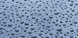 Czy rosnące farby trzeba wypiekać?