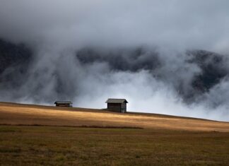 Z czego zrobić domek dla kota na zimę?