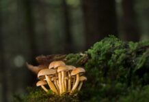 Jak zamontować listwy do blatu? Jak zamontować listwy do blatu?