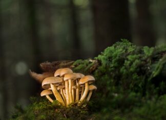 Jak zamontować listwy do blatu? Jak zamontować listwy do blatu?