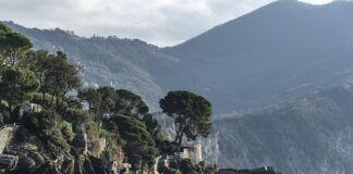 Ile kosztuje najtańszy garnitur?