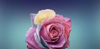 Do czego jest niebieska strona gumki?