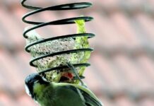 Dlaczego mam za mało pokarmu?