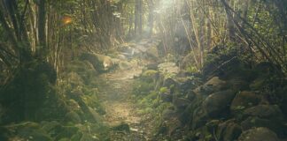 Co zabrać do jedzenia na wycieczkę rowerową?