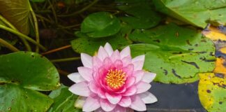 Czy podkładka dla dziecka jest bezpieczna?