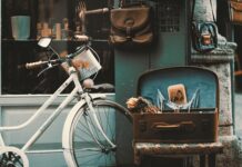 Jak można bawić się w sklep?