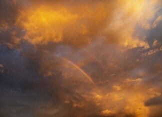 Co to jest Rainbow High?