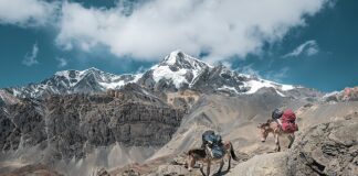 Jaka jest najnowsza gra LEGO?