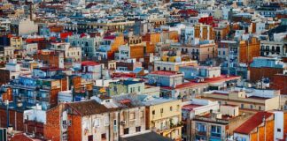 Kto gdzie mieszka Roter kafer?