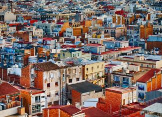 Kto gdzie mieszka Roter kafer?