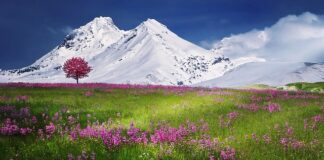 Co oznacza fioletowa nitka na nadgarstku?