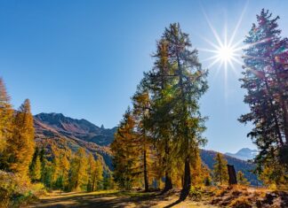 Jak się robi masę solną na figurki?