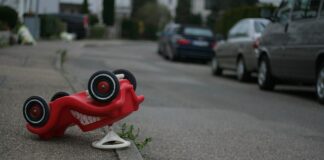 Jakich zabawek nie dawać psu?