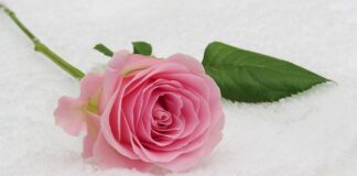 Co na komunię krzyżyk czy medalik?